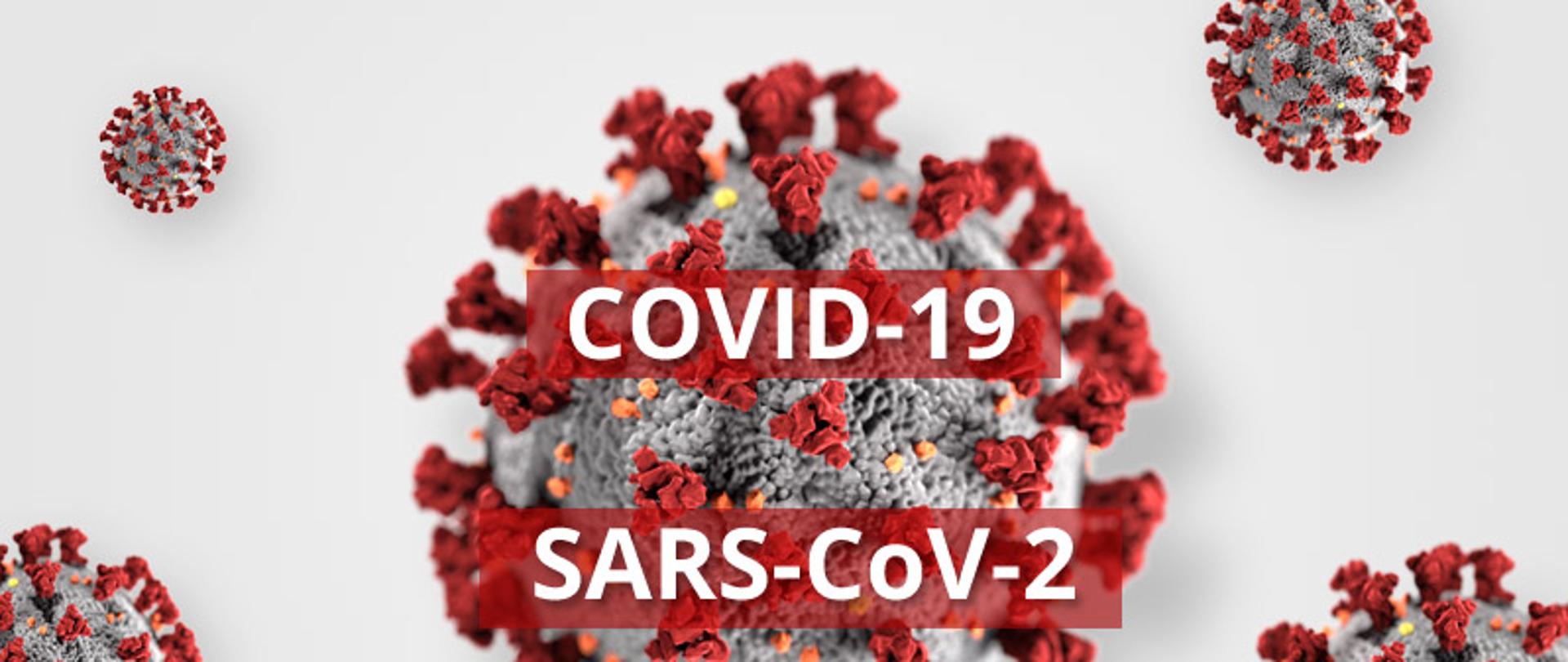 Grafika przedstawiająca korona wirusy w kształcie kulistym szarym z pomarańczowymi kropkami i czerwonymi wypustkami. Na środku widnieje napis COVID-19 SARS-CoV-2.