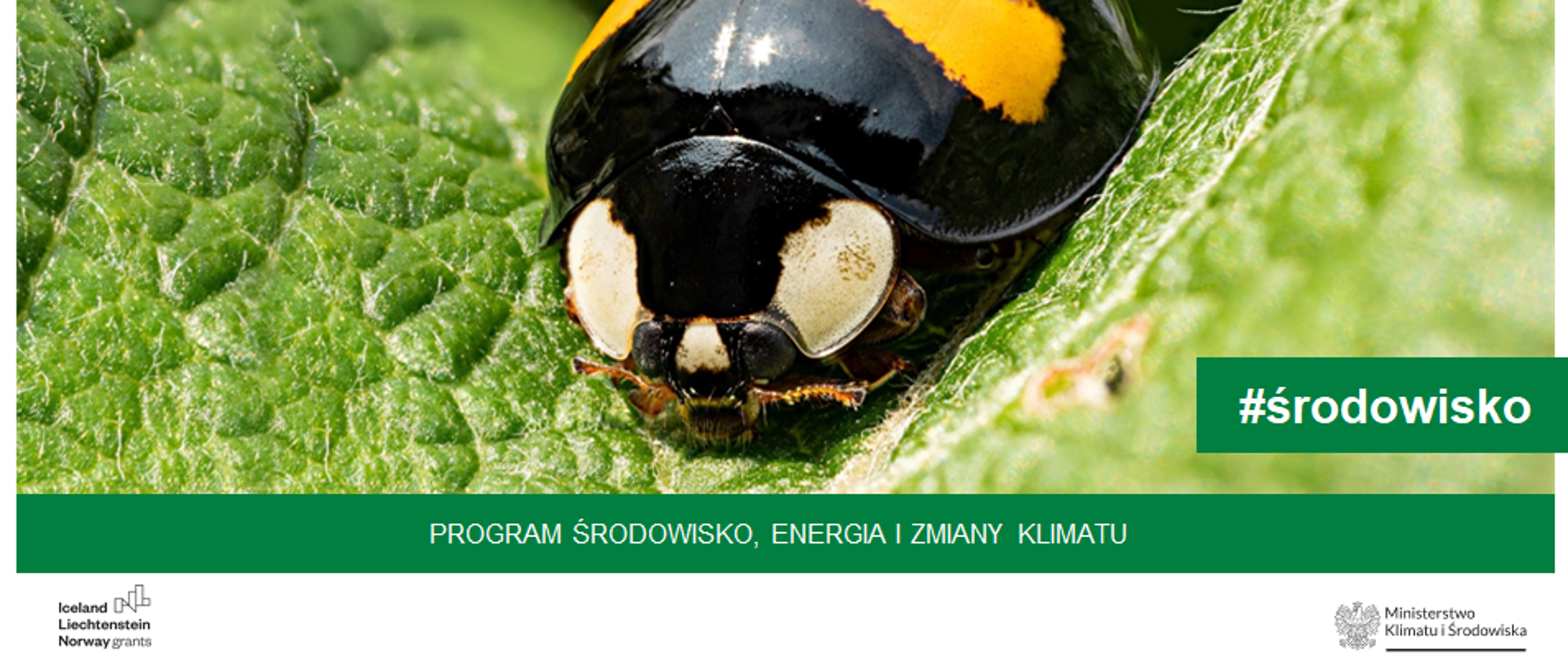 Obszar Środowisko naturalne i ekosystemy Program Środowisko, Energia i Zmiany Klimatu MF EOG