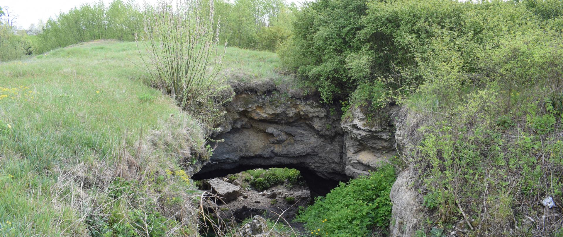 Rocznica utworzenia rezerwatu przyrody Skorocice