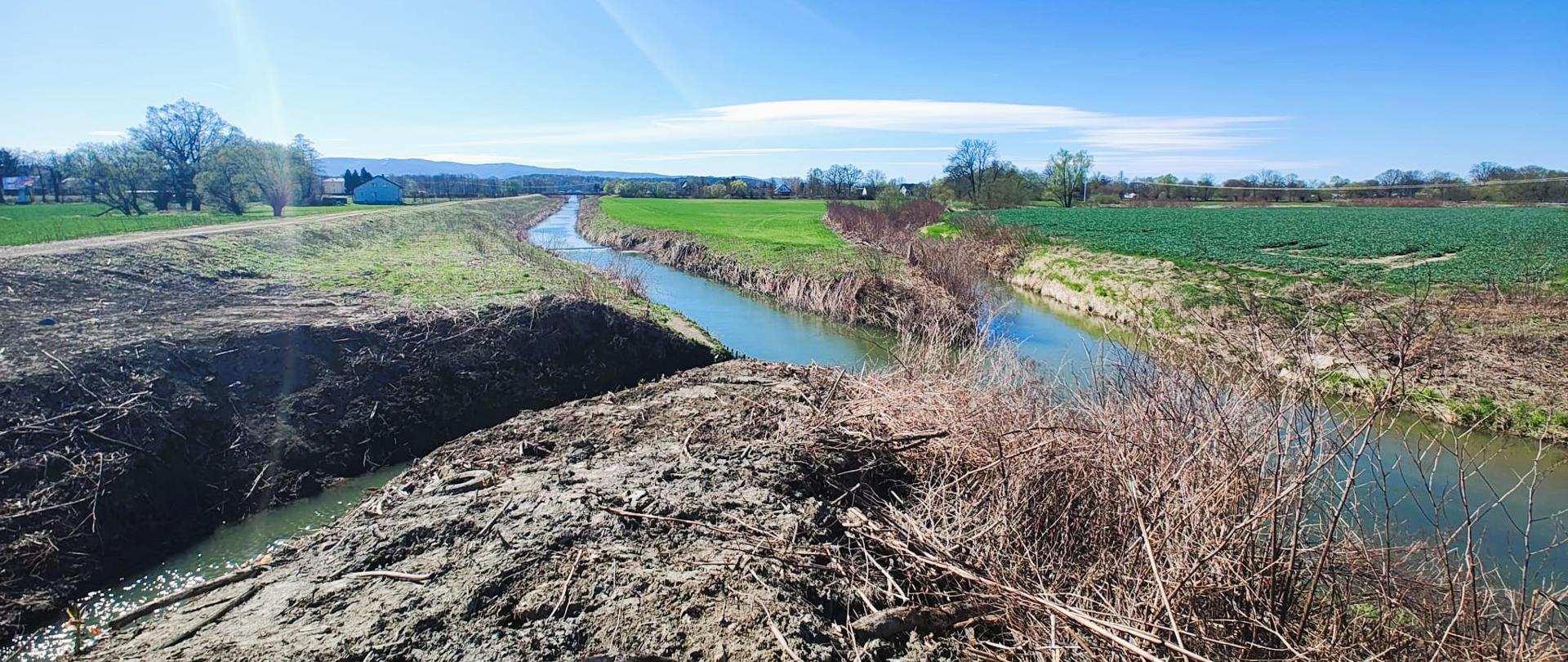 Połączenie trzech rzek na terenie gminy Czechowice-Dziedzice. Od lewej: Rów Czechowicki, Wapienica, Iłownica