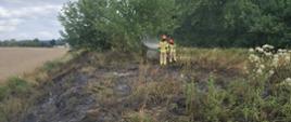 Przedstawia akcję gaśniczą podczas pożaru nieużytków w pobliżu miejscowości Rychowo w powiecie białogardzkim. Na zdjęciu rota strażaków w ubraniach specjalnych gasi prądem wodnym palące się nieużytki