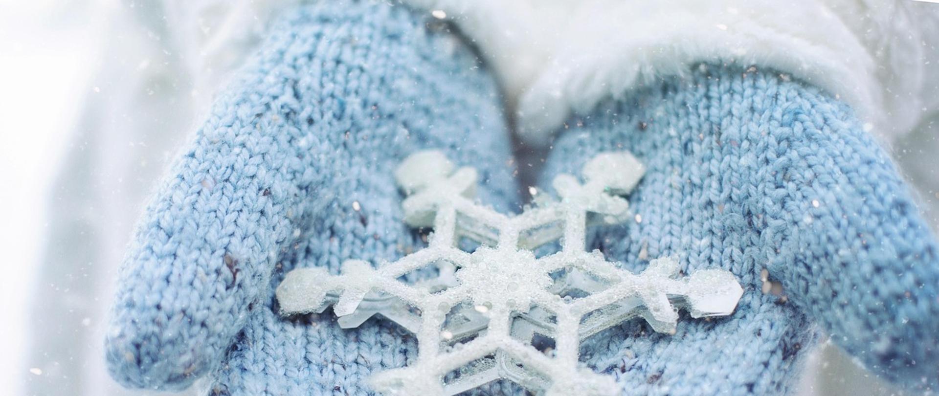 snowflake-1918794_1280