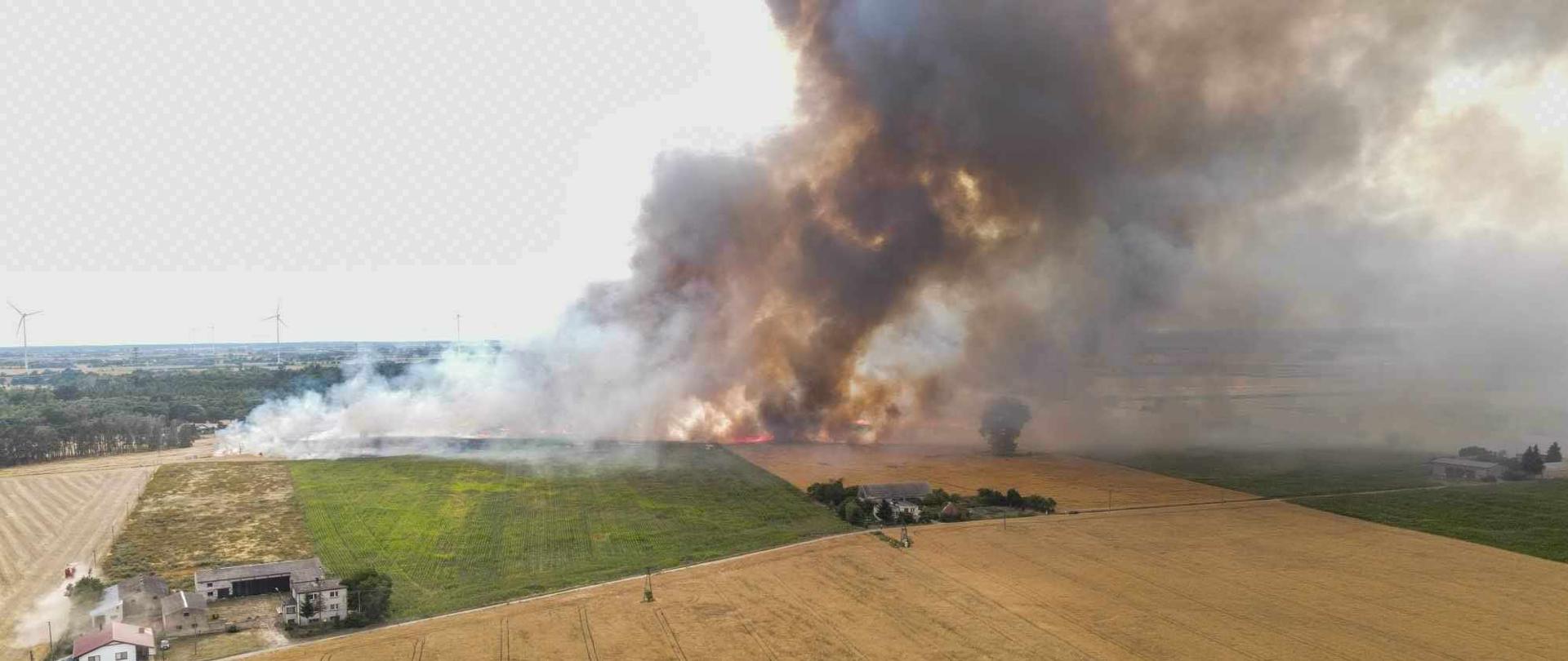 Pożar zboża na pniu, jest dym i ogień
