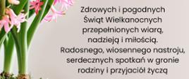 Na zdjęciu widoczne pisanka i hiacynt koloru różowego w glinianej donicy oraz życzenia z okazji Świąt Wielkanocnych komendanta powiatowego Państwowej Straży Pożarnej i prezesa Zarządu Oddziału Powiatowego Związku Ochotniczych Straży Pożarnych w Gorlicach.