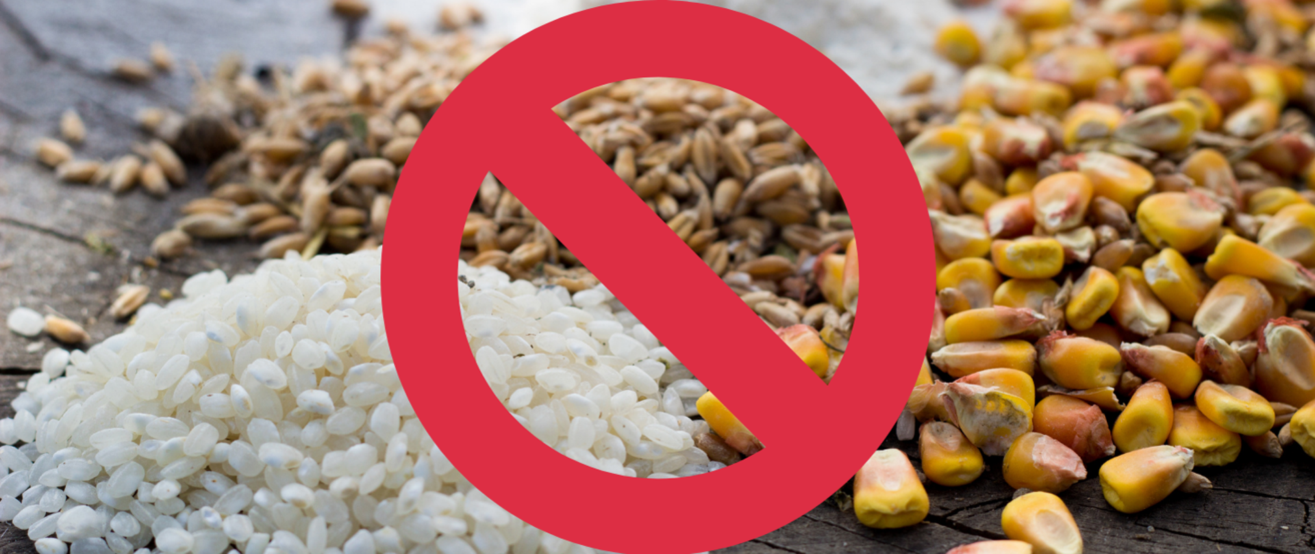 Międzynarodowy Dzień Celiakii. Na fotografii ukazano ziarna zbóż (ryżu, pszenicy, kukurydzy), na których umieszczono czerwony znak zakazu. 