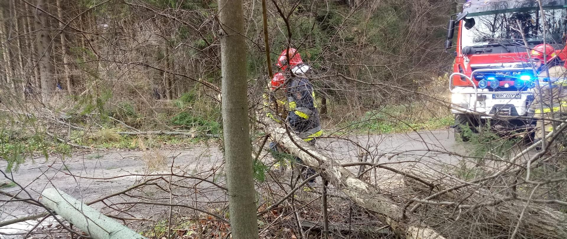 Dwóch strażaków usuwa z drogi złamany konar drzewa. Za nimi widać samochód gaśniczy stojący na sygnałach. 