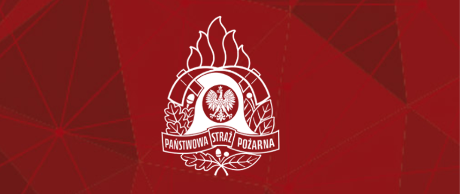 Grafika z logo PSP oraz napisem Nabór do służby II etap