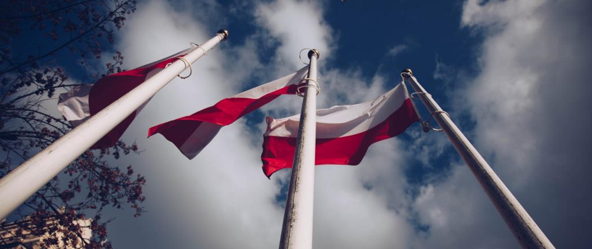 Na trzech białych masztach powiewają polskie flagi narodowe. Widok od dołu - od stóp masztów. W tle częściowo zachmurzone niebo, a po lewej stronie bezlistne gałęzie drzewa oraz fragment krapkowickiej baszty.
