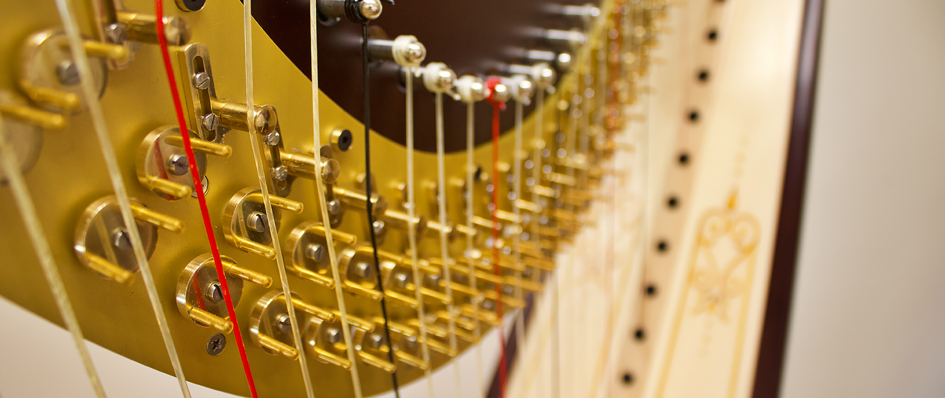 Na zdjęciu widać fragment harfy - kołki, fragmenty strun i obudowy.