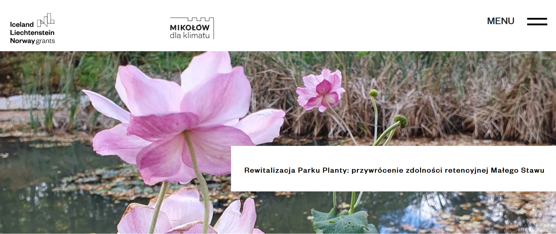 Mikołów dla Klimatu - wdrażanie inwestycji z zakresu błękitno-zielonej infrastruktury w mieście 