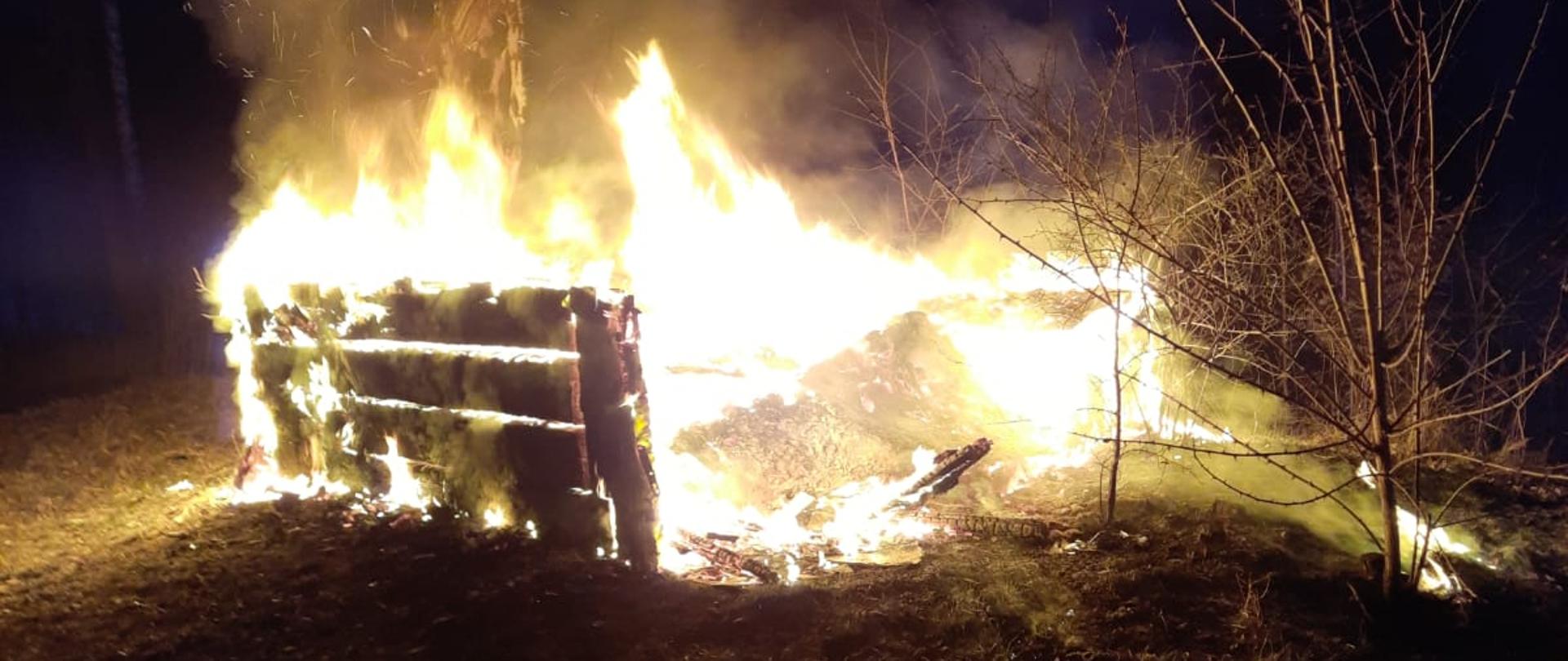 Na zdjęciu widać płonący budynek drewniany , jest on całkowicie objęty pożarem. Z prawej strony rosną młode drzewka , a w tle widać wysoką brzozę.