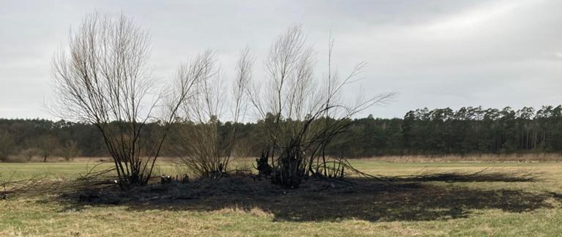 Na zdjęciu widać ok. 100m2 spalonej trawy i opon.