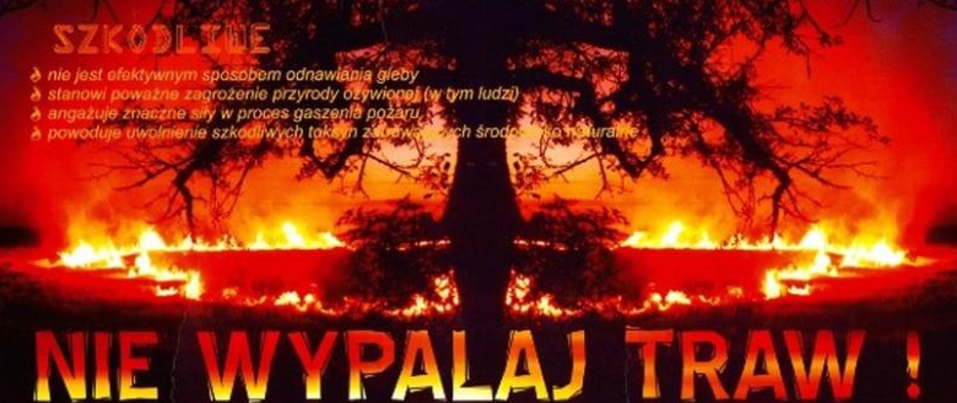 Apel Nie Wypalajmy Traw ulotka