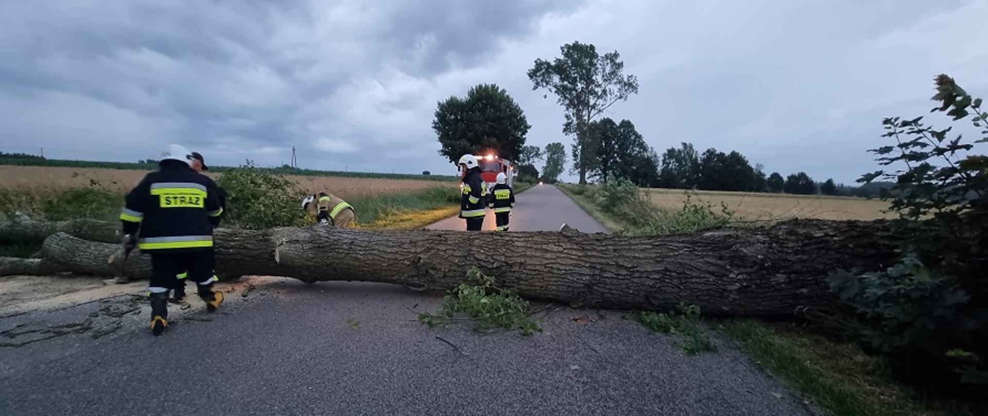 Przewrócone na drogę drzewo tarasuje przejazd. Wokół strażacy OSP