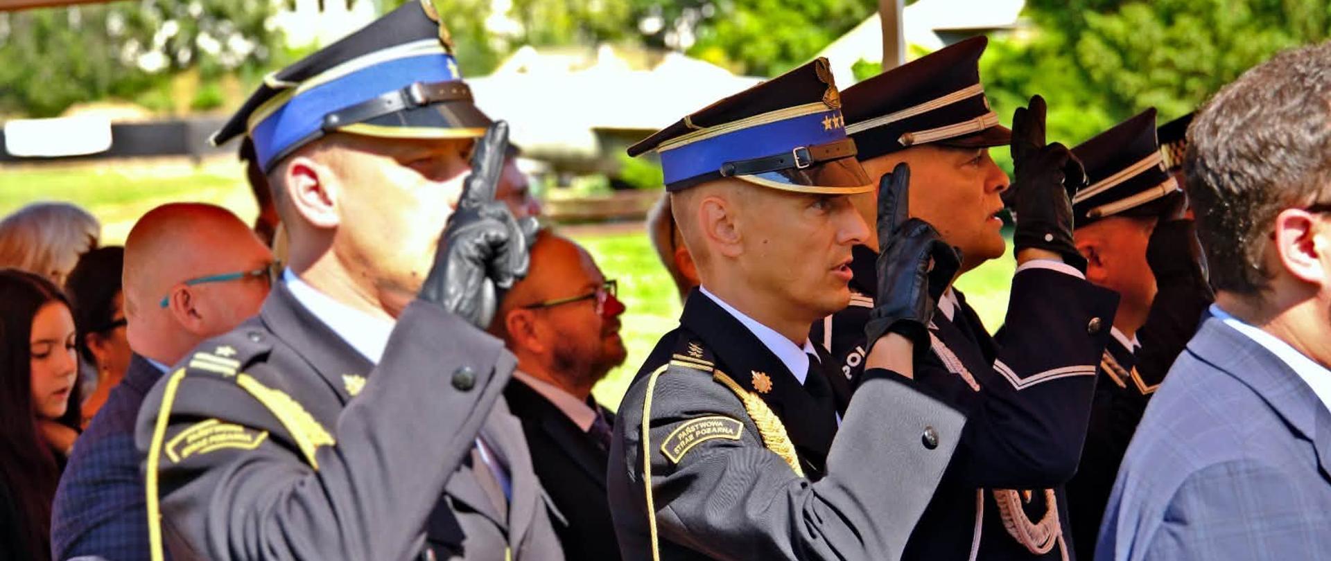Święto Lotnictwa Polskiego
