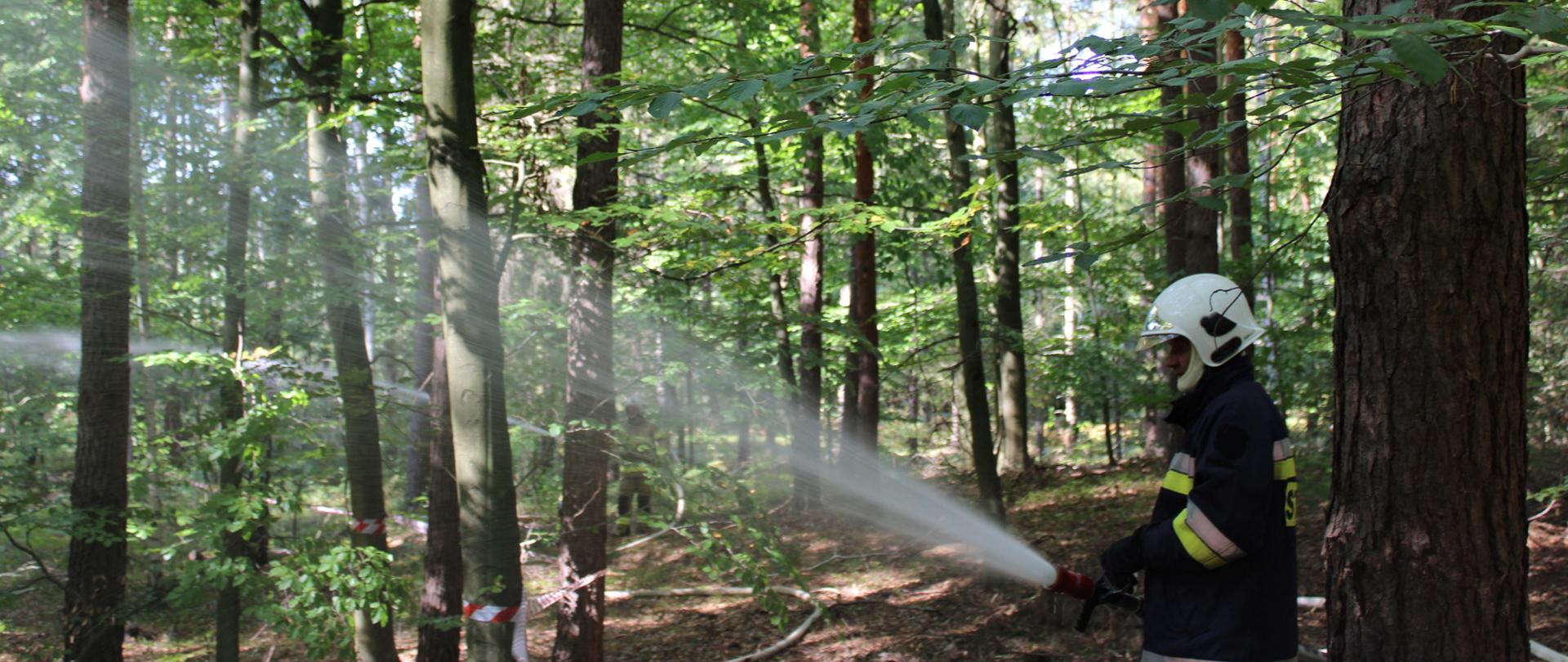 Na tym zdjęciu widzimy strażaka podającego prąd wody na źródło pożaru.