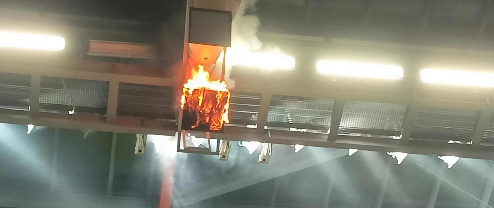 Interwencja podczas meczu Ekstraklasy