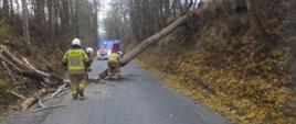 Na zdjęciu widać 3 strażaków, którzy tną na mniejsze kawałki powalone na jezdnię drzewo. W oddali widać samochód pożarniczy na światłach błyskowych. Zdjęcie zrobione w porze dziennej. 