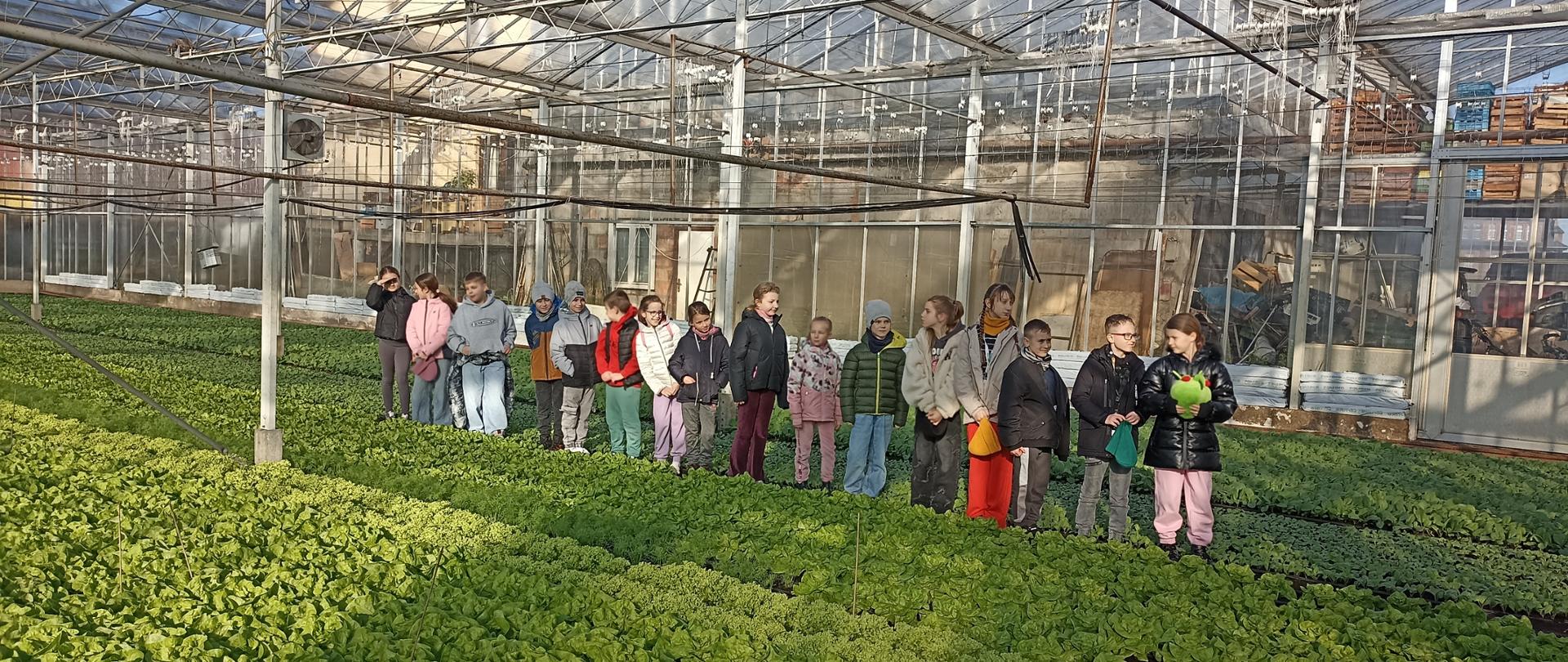 Grupa dzieci w szklarni pośród młodych sadzonek sałaty