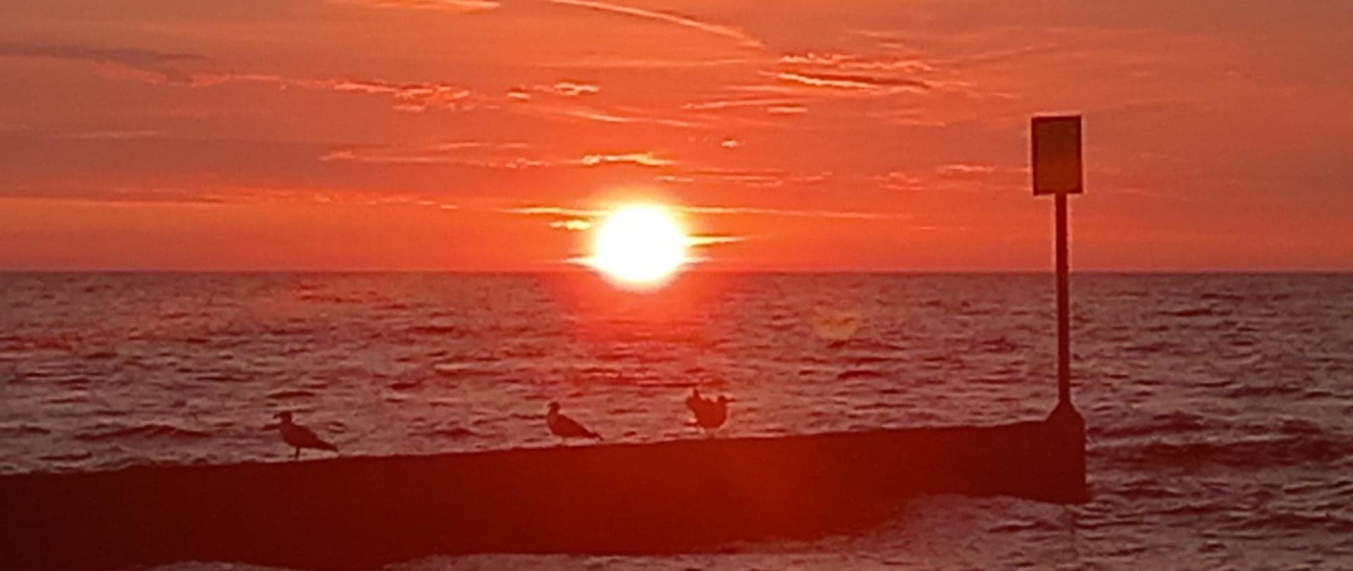 Zdjęcie przedstawiające centralnie słońce zachodzące nad morzem. Na pierwszym planie morze i rozciągający się z lewej strony falochron, na nim siedzące mewy. Na końcu falochronu tablica (nieczytelna)