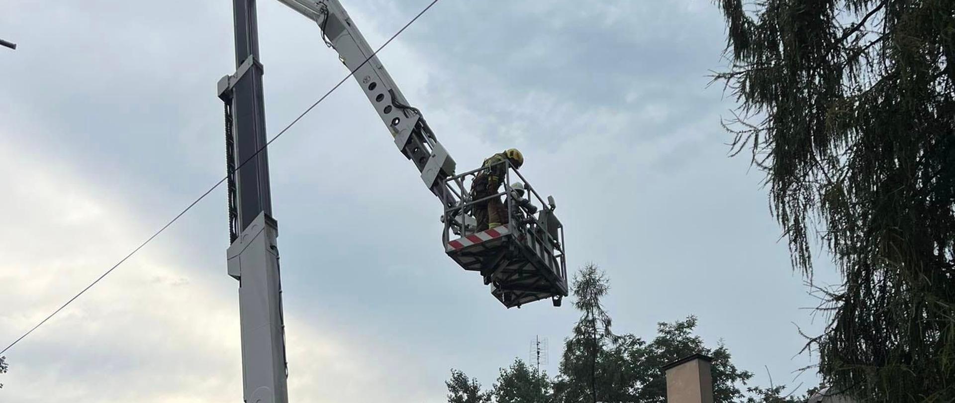 Na zdjęciu widać podnośnik strażacki ze strażakami w środku podczas usuwania nadłamanych konarów drzew.