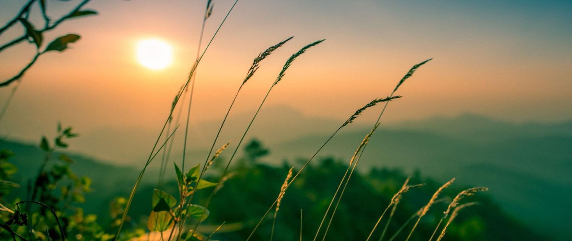 HIGIENA ZDROWIA PSYCHICZNEGO