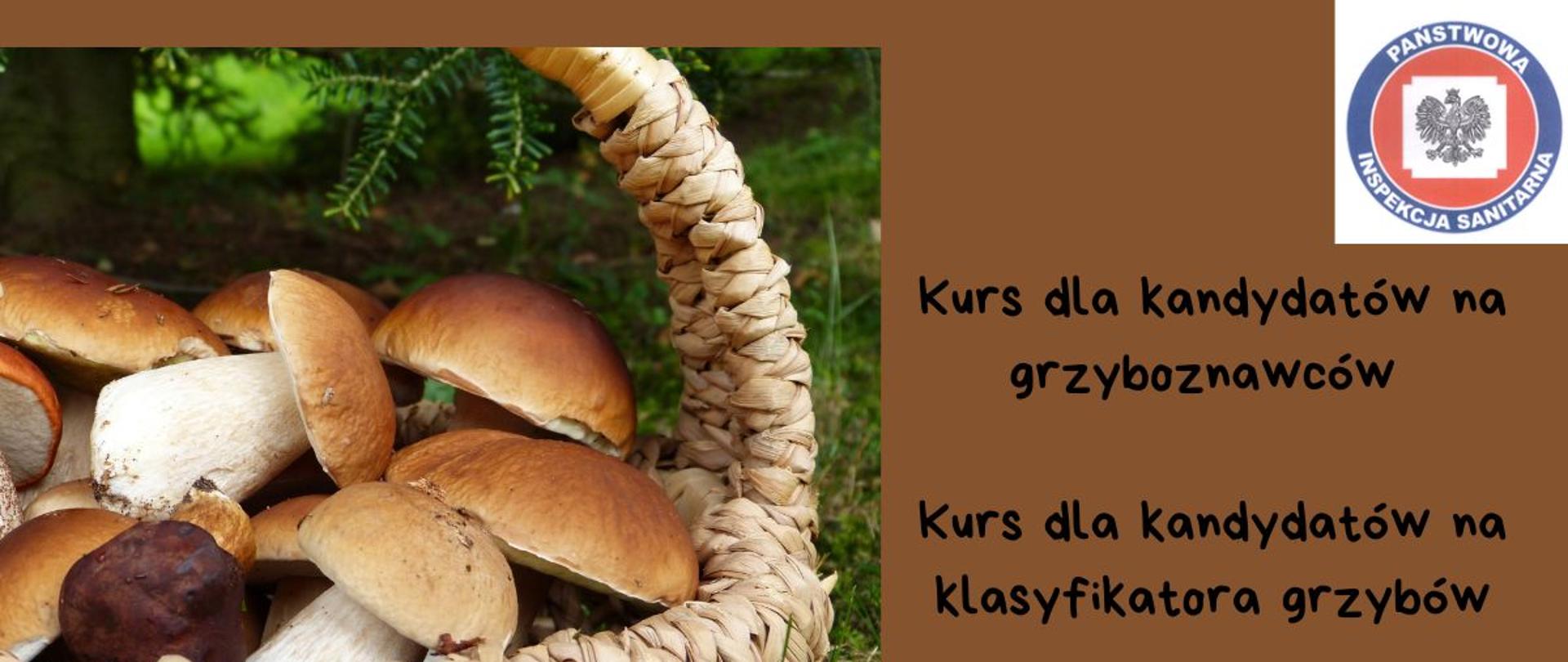 Baner kurs dla kandydatów na grzyboznawców