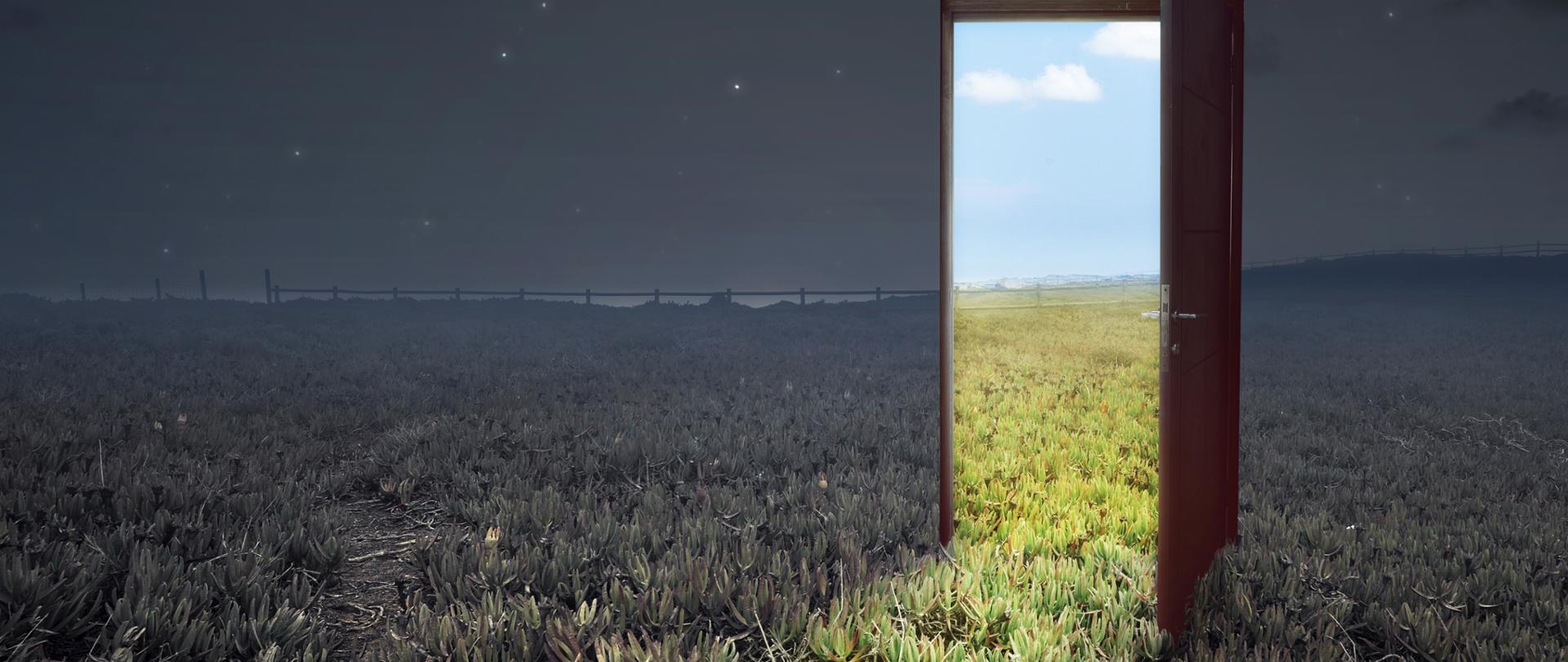 Otwarte drzwi z widokiem na łąkę w ciągu dnia