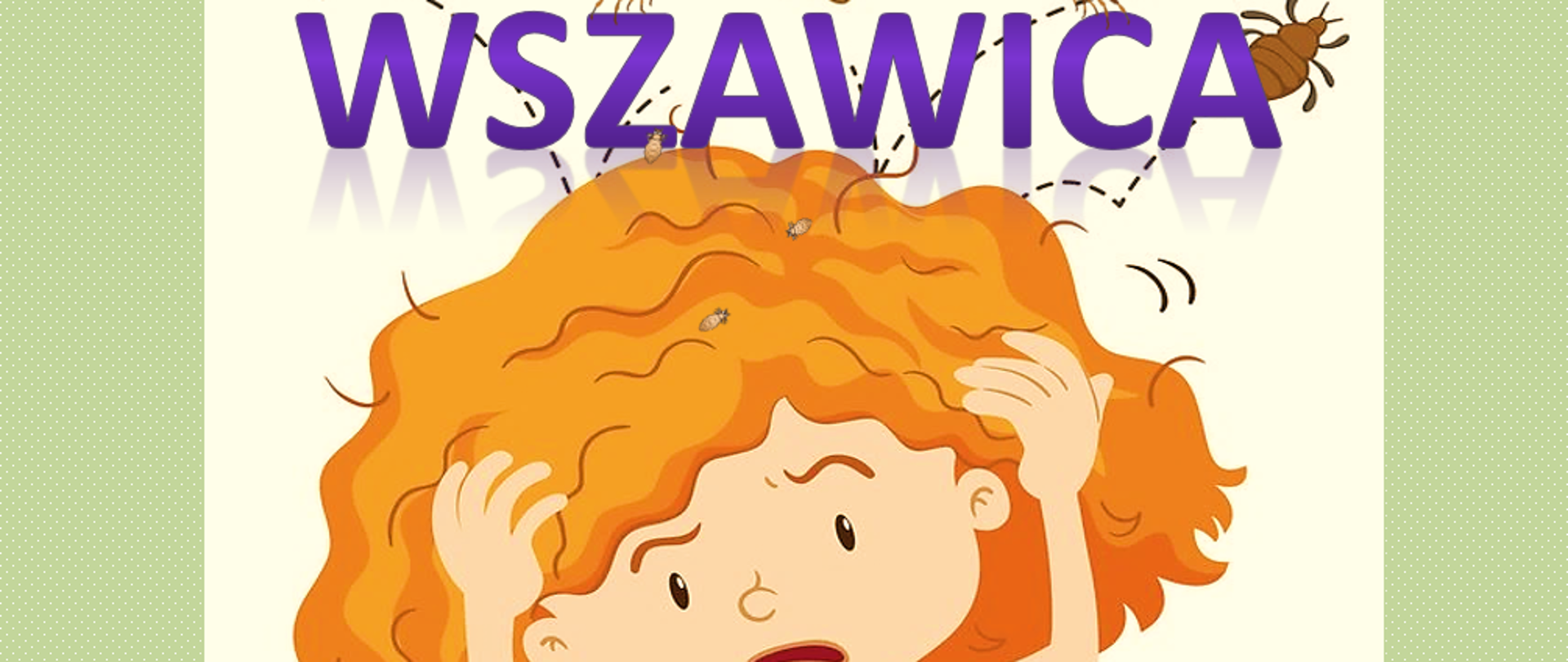 Wszawica