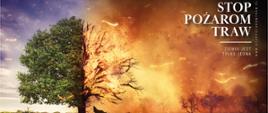 Grafika przedstawiająca pożar lasu. Po prawej stronie zielone drzewo i trawa a po prawej palący się las, trawa oraz uciekające zwierzęta.
