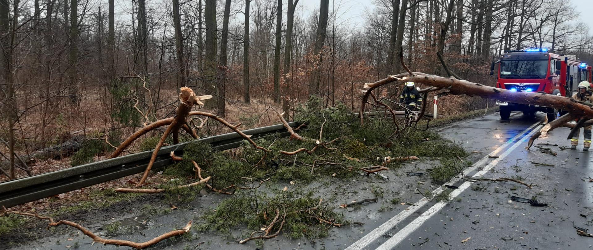 Drzewo spadło na samochód osobowy na DW 457 w pobliżu Kościerzyc