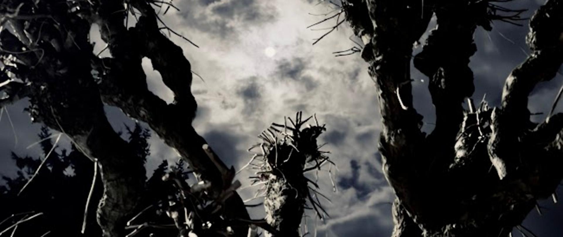 Zdjęcie jest zrobione w nocy. Na pierwszym planie są suche gałęzie drzewa, które są sfotografowane na tle pochmurnego nieba na którym jest mało widoczny księżyc w pełni. 