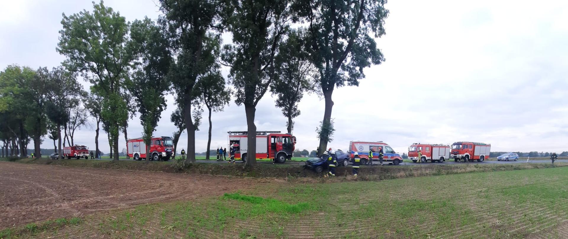 Na zdjęciu widać teren akcji ratowniczej, gdzie miał miejsce wypadek drogowy. Zdjęcie wykonane ze znacznej odległości na pobliskim polu uprawnym. W centralnej części zdjęcia widać niebieski samochód osobowy po uderzeniu czołowo-bocznym w drzewo. Przy pojeździe stoją strażacy ubrani w ubrania specjalne. Na dalszym planie widać samochody służb ratowniczych stojące na jezdni. Po lewej stronie od samochodu znajdują się drzewa na poboczu po obu stronach drogi. Pomiędzy pojazdami stoją funkcjonariusze różnych służb ratunkowych i osoby postronne.