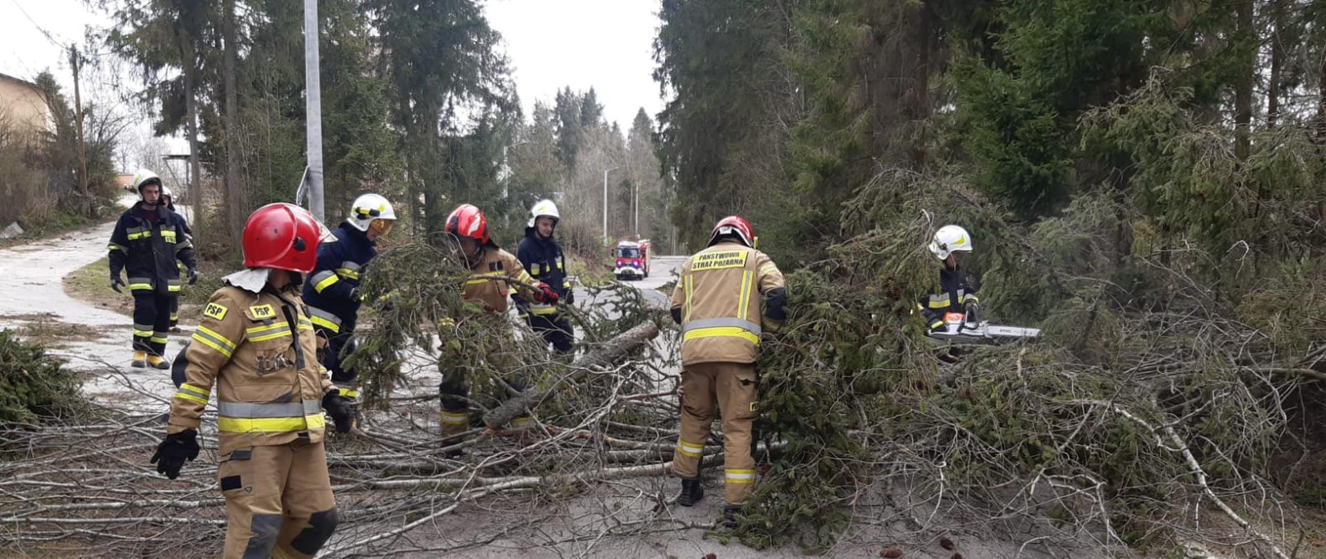 Interwencje związane z usuwaniem skutków silnego wiatru.