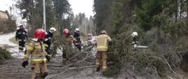 Interwencje związane z usuwaniem skutków silnego wiatru.