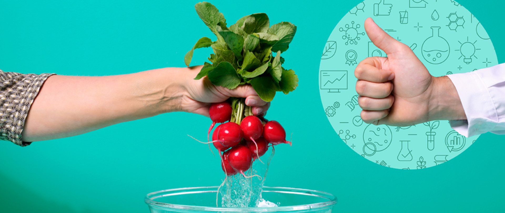 #EUChooseSafeFood Higiena Żywności 