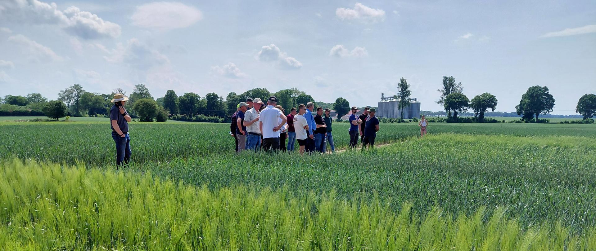 Grupa ludzi w słoneczny dzień stoi w polu, na którym posadzone są zielone rośliny 