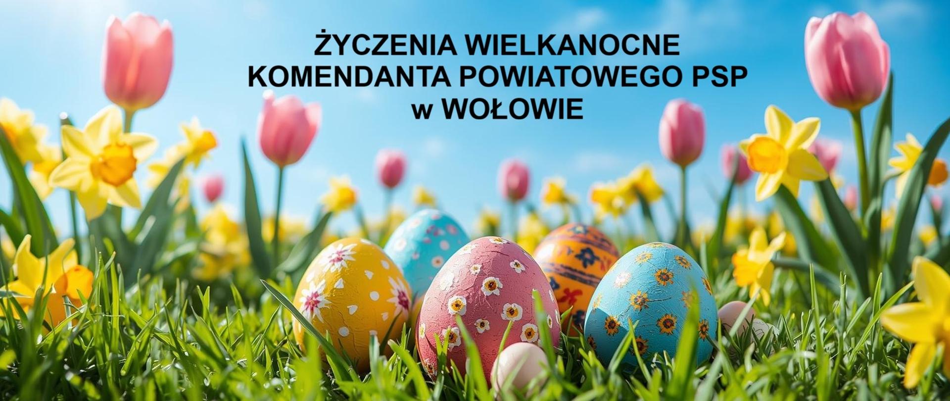 Grafika to barwna ilustracja o tematyce wielkanocnej, stanowiąca planszę tytułową dla życzeń od straży pożarnej. Pierwszy plan: Przedstawia soczyście zieloną trawę, w której ukryte są kolorowe pisanki. Jajka są bogato zdobione wzorami kwiatowymi (np. białe stokrotki na różowym tle, słoneczniki na błękitnym). Roślinność: Wśród trawy rosną liczne wiosenne kwiaty – głównie żółte żonkile oraz różowe tulipany. Tło: Nad łąką roztacza się bezchmurne, jasnoniebieskie niebo, a w lewym górnym rogu widać rozmyte promienie wiosennego słońca. Całość jest jasna, nasycona kolorami i kojarzy się z pogodnym, świątecznym dniem. W górnej, centralnej części grafiki znajduje się czarny, wyraźny napis wykonany bezszeryfową czcionką: ŻYCZENIA WIELKANOCNE KOMENDANTA POWIATOWEGO PSP w WOŁOWIE. Grafika ma charakter radosny i bardzo tradycyjny. Wykorzystuje motyw "szukania jajek w trawie", co nadaje jej ciepły, rodzinny klimat, kontrastujący z oficjalną funkcją nadawcy życzeń.