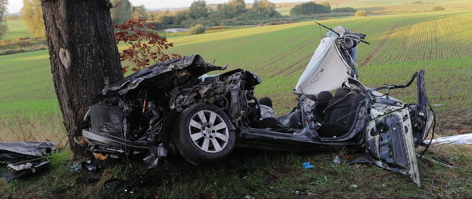 Na zdjęciu samochód osobowy uczestniczący w wypadku drogowym, po uderzeniu w drzewo. Znajduje się poza obrysem jezdni.