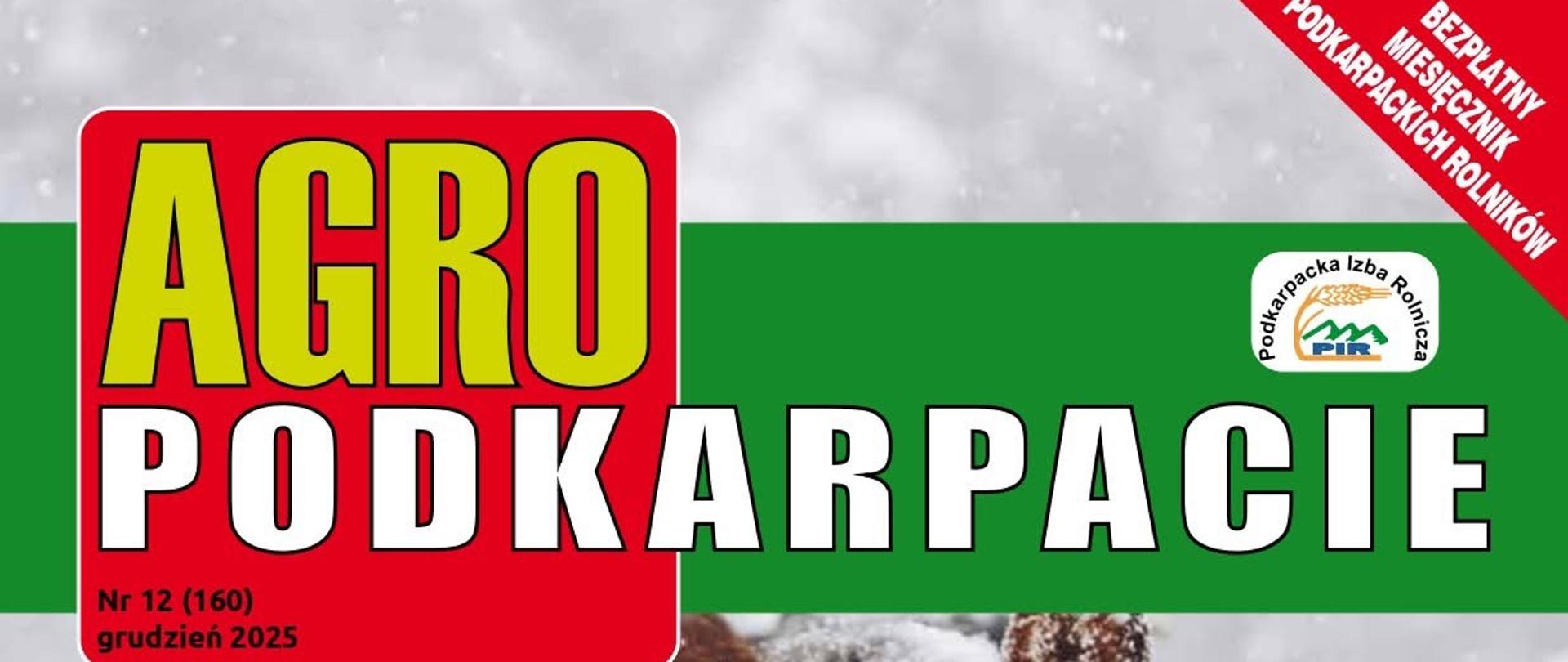 Na zdjęciu brązowy koń na którego spada śnieg