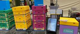 Zdjęcie przedstawia kolorowe ule 