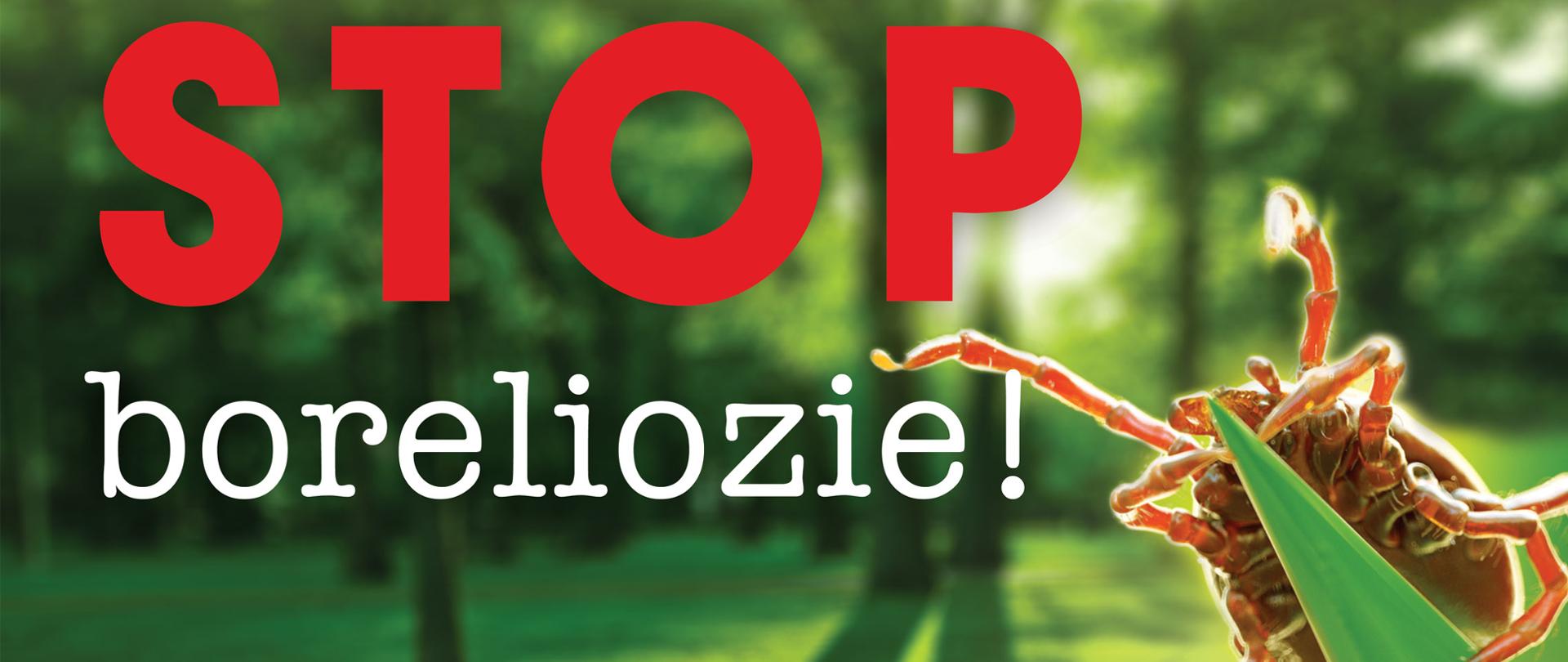 plakat przedstawiający zaproszenie do projektu "stop boreliozie"