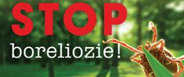 stop boreliozie