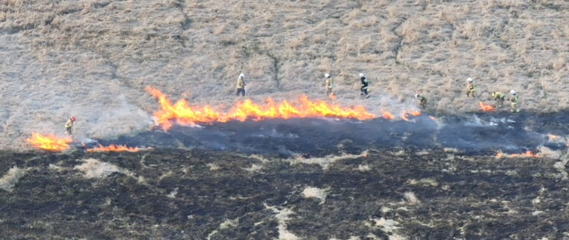 Zdjęcie przedstawia strażaków podczas gaszenia pożaru traw nad rzeką Noteć.
W tle pola, rzeka.
