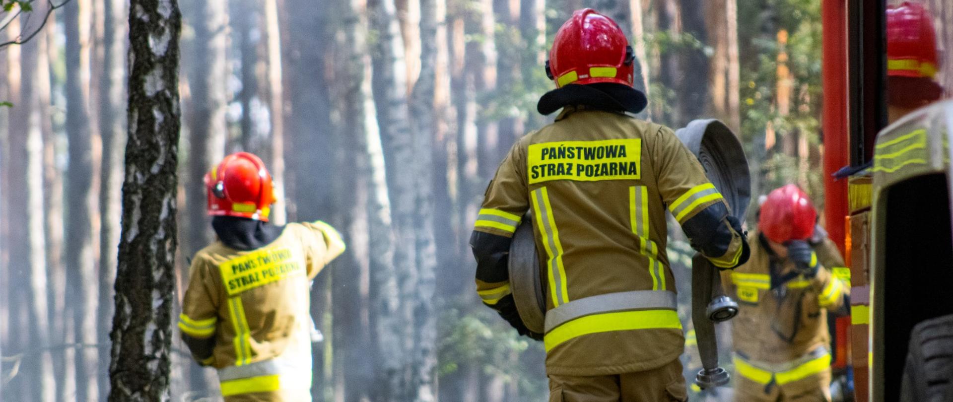 zdjecie przedstawia akcje rozwinięcia węży niezbędnych do gaszenia pożaru lasu