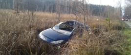 Samochód osobowy po zderzeniu z jeleniem zjechał z drogi krajowej na pobocze a następnie wjechał na teren podmokły, bagienny. uszkodzony jest przód pojazdu i dach.