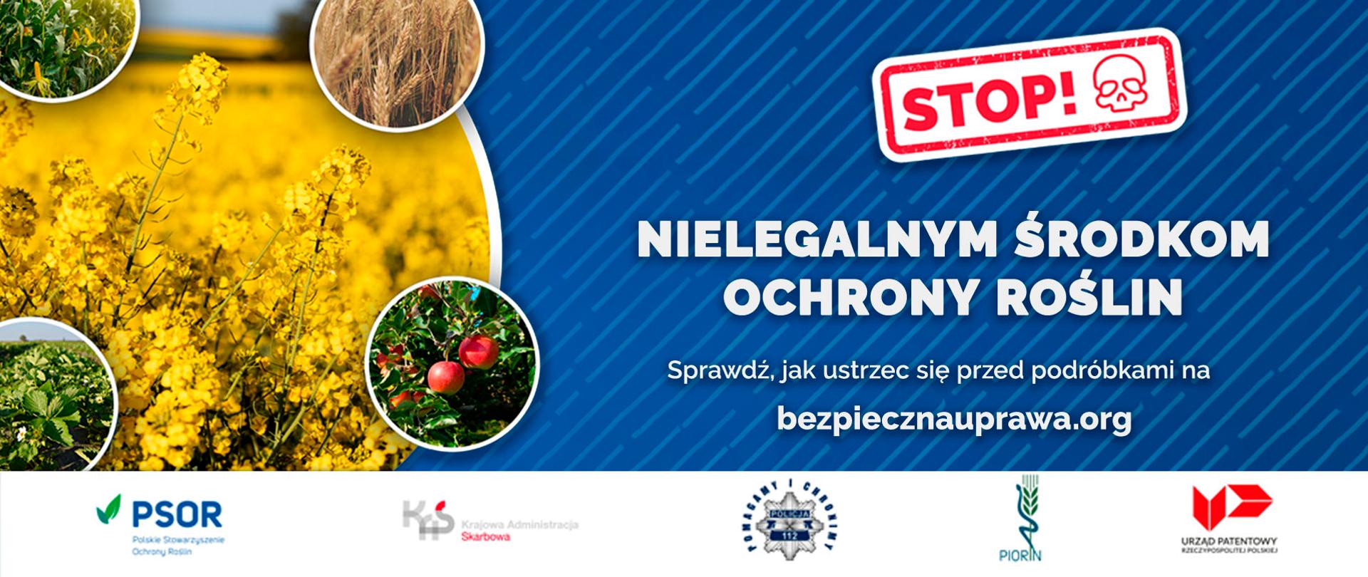 Stop nielegalnym środkom ochrony roślin. Sprawdź, jak ustrzec się przed podróbkami na bezpiecznauprawa.org. Obok fotografie roślin: truskawka, jabłoń, rzepak, żyto. Logo organizacji wspierających kampanię: Polskie Stowarzyszenie Ochrony Roślin, Krajowa Administracja Skarbowa, Policja, PIORIN, Urząd Patentowy Rzeczypospolitej Polskiej