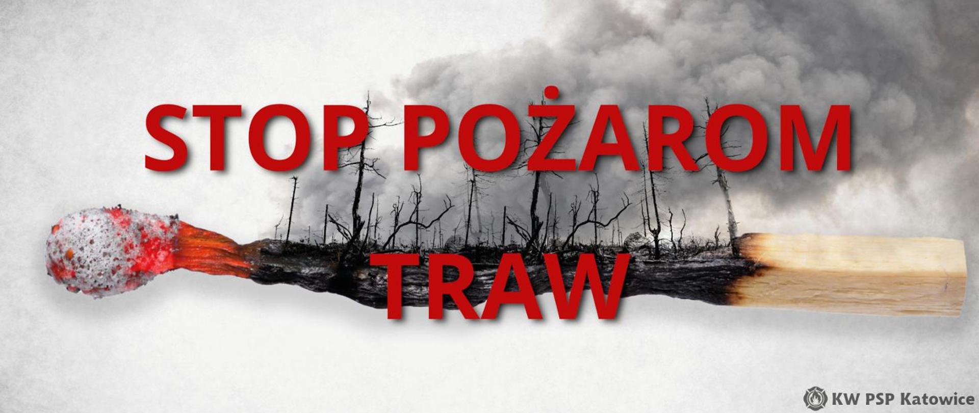 Ilustracja przedstawia napis stop pożarom traw, a w tle fragment spalonego lasu