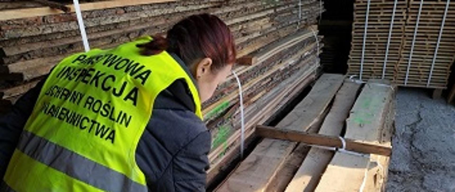 Inspektor dokonuje pomiaru wilgotności drewna