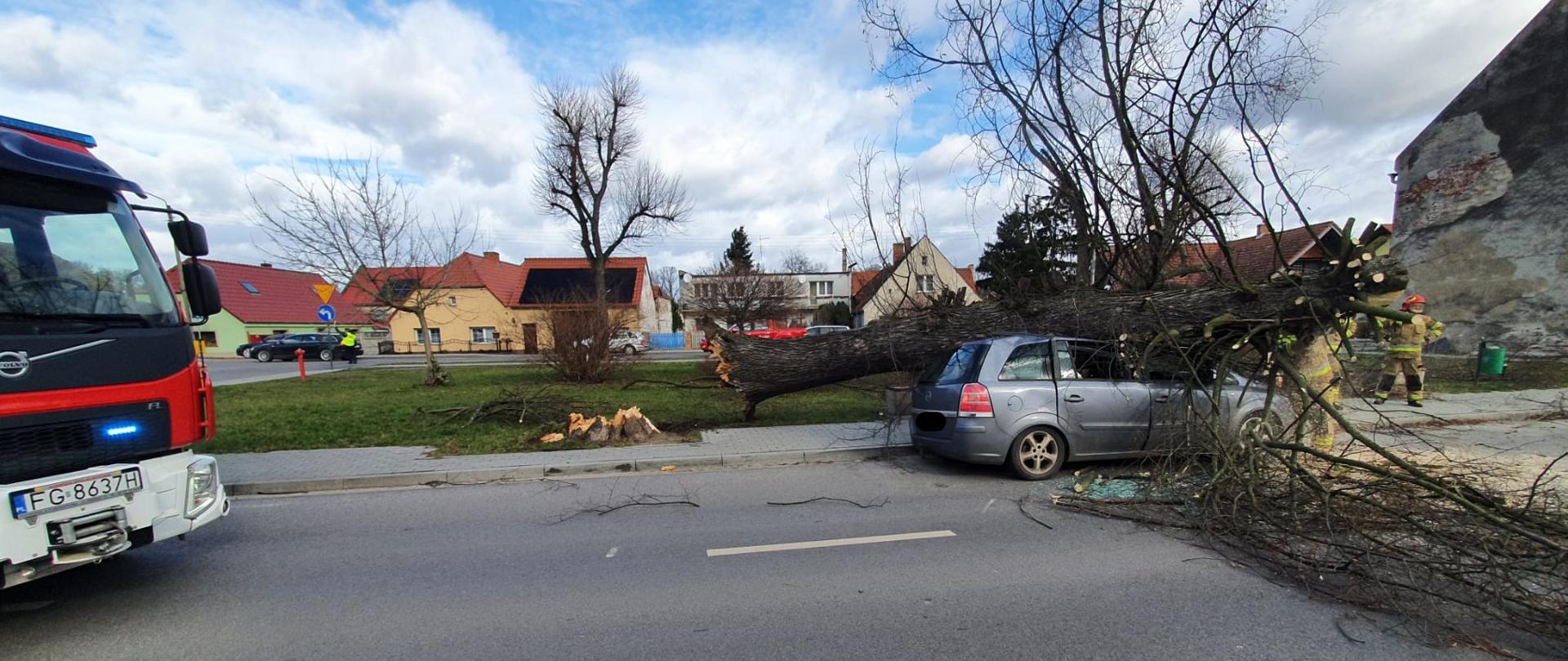 Strażacy usuwają przy użyciu sprzętu pił spalinowych do cięcia drzewa powalone drzewo z dachu samochodu osobowego na ulicy w Lubsku.
